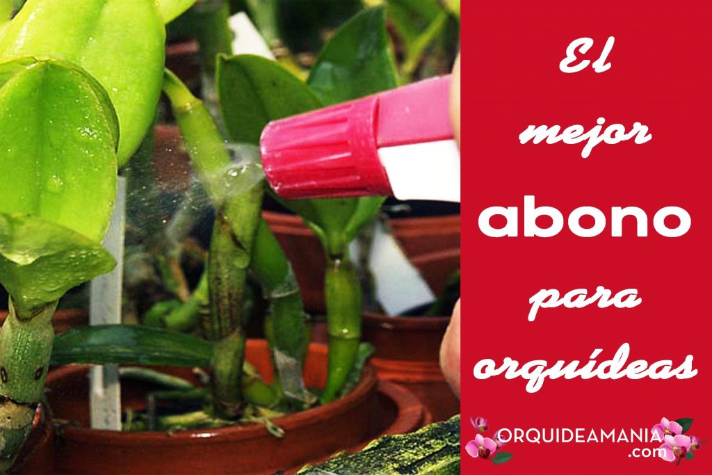 fertilizante orquídeas