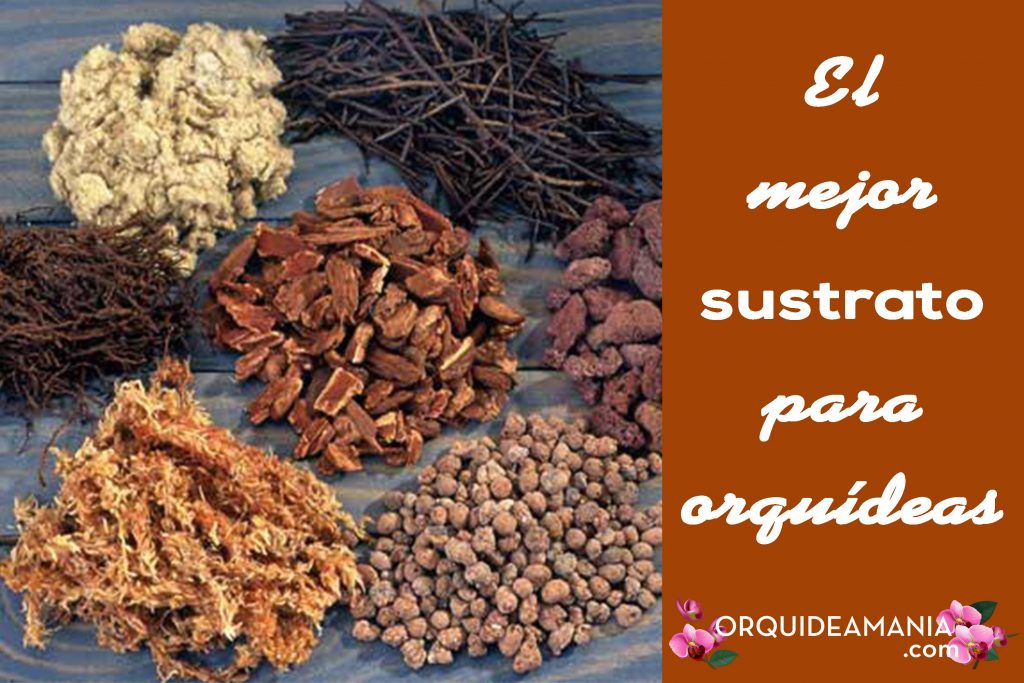 tierra para orquideas